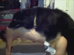 A white BBC harlot is bonked by a black dog.